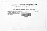 Image Associated With the Occurence